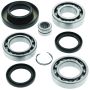 QuadBoss 413023 05-14 Honda TRX500FA FourTrax Foreman Rubicon 4x4 AT (02) Rear Diff Bearing & Seal Kit