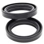 All Balls Racing 55-110 Fork & Dust Seal Kits