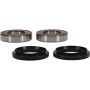 Pivot Works 25-1660-P Yamaha Wheel Bearing Kit Premium Bearings