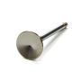 EDELBROCK EDE9786 Exhaust Valve - 1.600 (1)