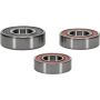 Pivot Works 25-1056-P Kawasaki Wheel Bearing Kit Premium Bearings