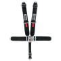 5-Pt Harness Big Latch Blk Bolt In Pull Down