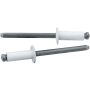 ALLSTAR PERFORMANCE ALL18114 Sm Hd Rivet White 250pk