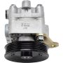 ATLANTIC AUTO ENTPRS 6206N AAE New Hydraulic Power Steering Pump 100% Tested