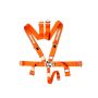 RACEQUIP RQP711041 5pt Harness Set L&L Orange SFI