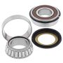 All Balls Racing 22-1054 2004 Triumph Daytona 600 Steering Bearing Kit
