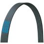 Dayco 5030300 V-Ribbed Belt