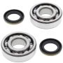 All Balls Racing 24-1045 69-79 Honda CT90 Trail Crank Shaft Bearing Kit