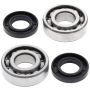All Balls Racing 24-1035 03-06 Kawasaki KFX80 Crank Shaft Bearing Kit