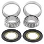 All Balls Racing 22-1062 Steering Bearing Kits