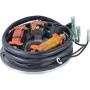 Arrowhead 340-58059 Yamaha Stator Coil
