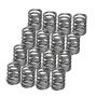 Supertech SPR-FE20BE-2-16 Ford Ecoboost 2.3L Conical Spring - Set of 16