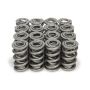 PAC RACING SPRINGS PACPAC-1355-16 1.500 Dual Valve Springs - (16)