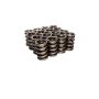 COMP Cams 927-16 Valve Springs Nascar