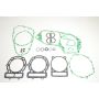 Athena P400220850254 Complete Gasket Kits