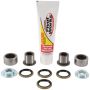 Pivot Works PWSHK-S10-021 Rm Shock Bearing Kt 01