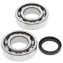 All Balls Racing 24-1081 Crank Bearing Kits