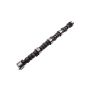 ACDelco Camshafts 10166850