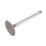 ACDelco Valves 10241743
