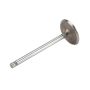 ACDelco Valves 10241743