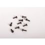 ACDelco Bolts and Screws 11508256