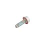 ACDelco Bolts and Screws 11546565