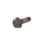 ACDelco Bolts and Screws 12471307