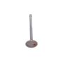 ACDelco Valves 12552289