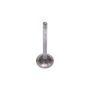 ACDelco Valves 12552289