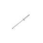 ACDelco Rivets 12558759