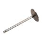 ACDelco GM Genuine Parts Engine Valves 12563063