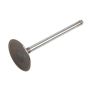 ACDelco Valves 12564494