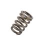 ACDelco Valve Springs 12565763