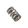 ACDelco Valve Springs 12565763