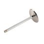 ACDelco GM Genuine Parts Engine Valves 12569427