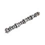 ACDelco Camshafts 12574519