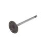 ACDelco GM Genuine Parts Engine Valves 12575351