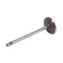 ACDelco GM Genuine Parts Engine Valves 12575351