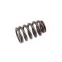 ACDelco Valve Springs 12592506