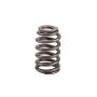 ACDelco Valve Springs 12592506