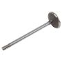 ACDelco Valves 12601762