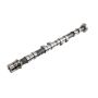 ACDelco Camshafts 12604896
