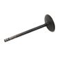 ACDelco GM Genuine Parts Engine Valves 12610931