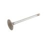 ACDelco GM Genuine Parts Engine Valves 12615936