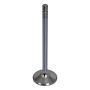 ACDelco GM Genuine Parts Engine Valves 12618110