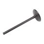 ACDelco GM Genuine Parts Engine Valves 12619825