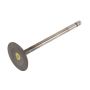 ACDelco GM Genuine Parts Engine Valves 12620501