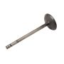 ACDelco GM Genuine Parts Engine Valves 12620501