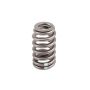 ACDelco Valve Springs 12621428