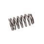 ACDelco Valve Springs 12621428